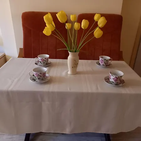 Goscinne U Anka Guest house