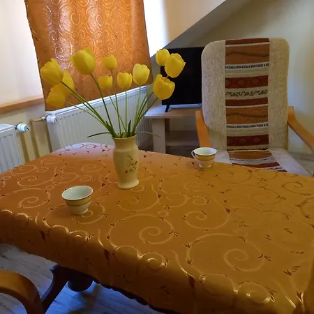 Guest house Goscinne U Anka *