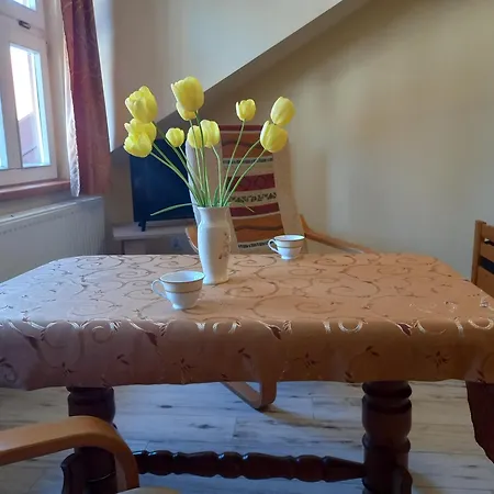 Goscinne U Anka Guest house